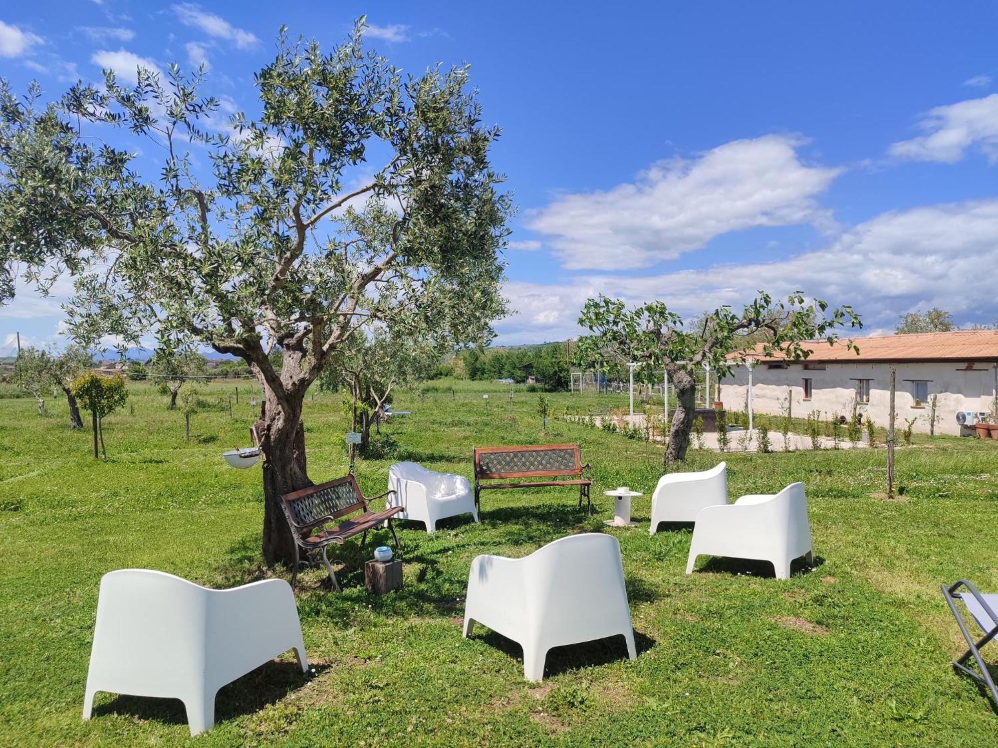 Masseria Fontana Dei Fieri Pietrelcina Eksteriør bilde
